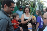 2010 Sukkot
